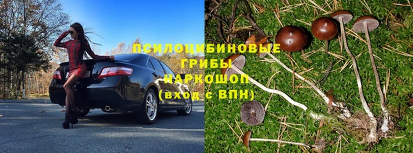 гидропоника Арсеньев