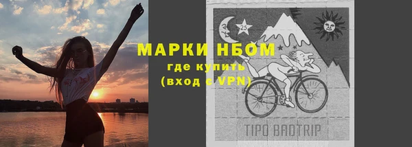 Альфа ПВП Аркадак