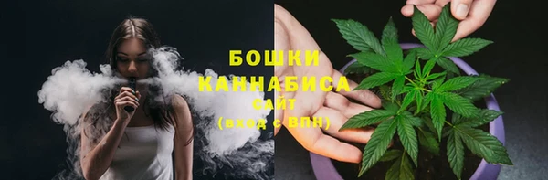 Альфа ПВП Аркадак