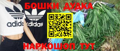 спиды Новокубанск