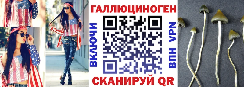 Псилоцибиновые грибы мухоморы  магазин    Нарткала 