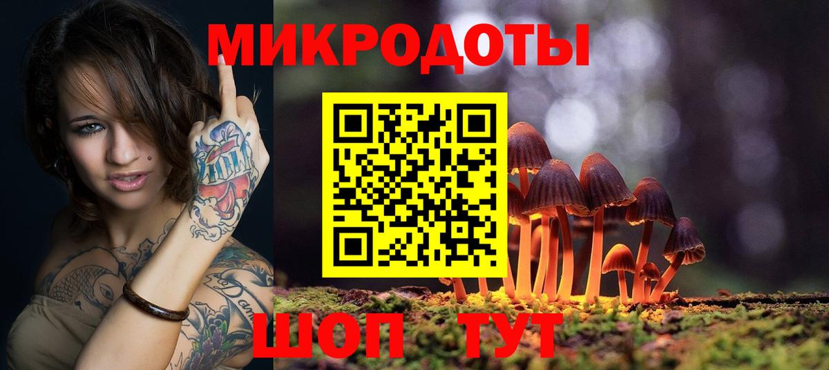 Галлюциногенные грибы MAGIC MUSHROOMS  Вход с VPN  Нарткала 